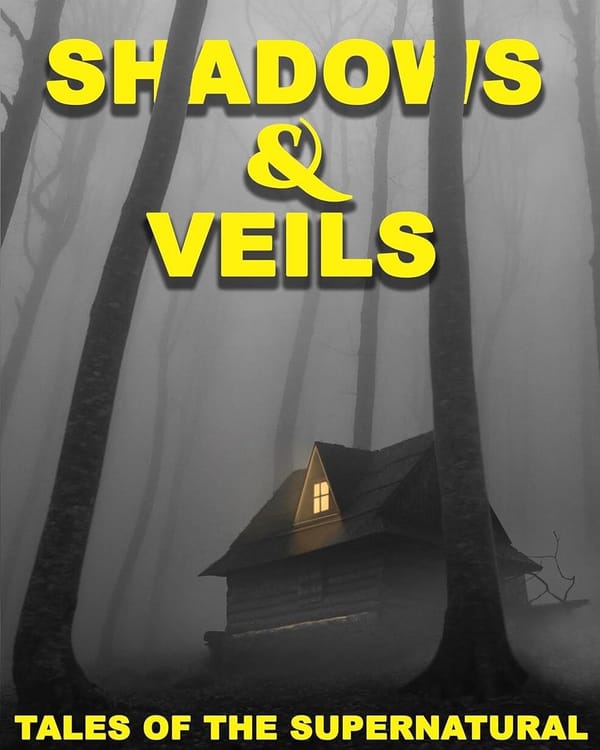 NOW AVAILABLE: Shadows & Veils
